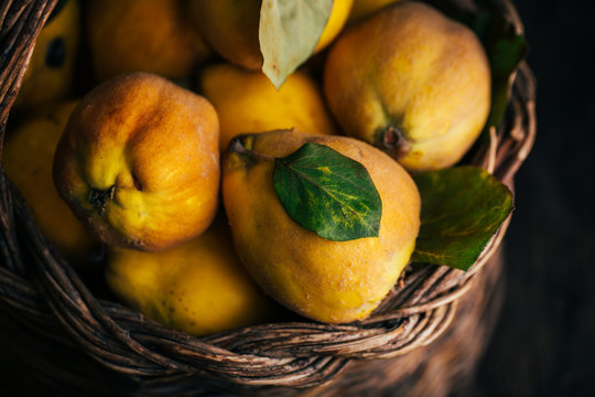 Quince fruit