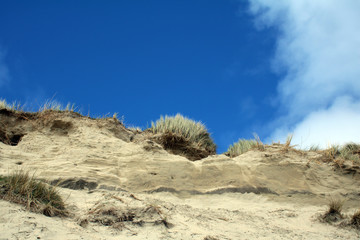 Sand dunes Barley Cove Beach west Cork, Ireland