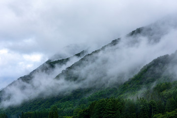 上高地　大正池　長野　信州　夏　旅行　観光　名所　明神池　河童橋