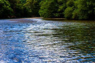 上高地　大正池　長野　信州　夏　旅行　観光　名所　明神池　河童橋