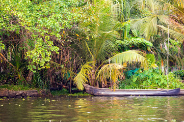 A canoe is anchored on the bank of a canal of the famous Alleppey's backwaters. Kerala, India.