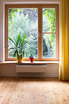 Potted plants at window sill