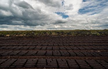 Rows of cultivated Peat bog in rural Ireland, clooudy skies background