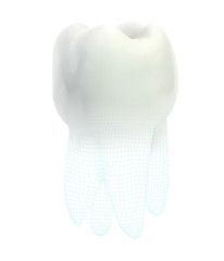 vector 3d tooth for dental medicine.volume polygonal mesh, printing on a 3D printer. isolated on a white background
