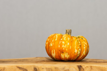 Orange pumkin