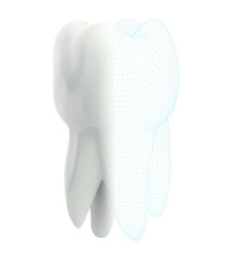 vector 3d tooth for dental medicine.volume polygonal mesh, printing on a 3D printer. isolated on a white background