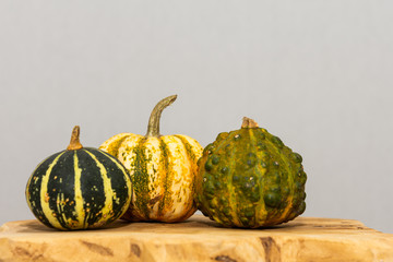 Colorful pumkins next to eachother.