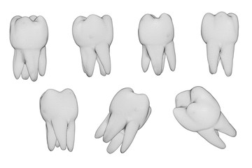 vector set of 3d teeth for dental medicine. isolated on white
