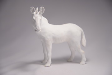 Obraz premium white zebra