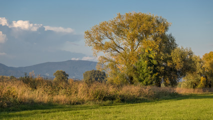 Obraz premium Beautiful view near Steinkirchen-Danube-Bavaria-Germany