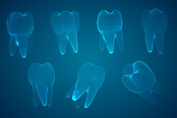 vector set of 3d teeth for dental medicine.