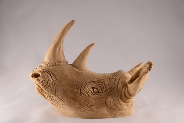 rhinoceros