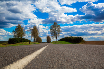 road, nature, spring