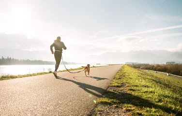 Abwaschbare Fototapete Joggen Canicross-Übungen. Outdoor-Sportaktivität - Mann joggt mit seinem Beagle-Hund