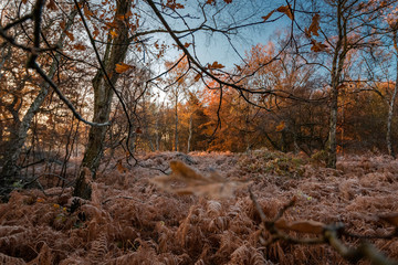 A cold and frosty November morning at the Autobahn A2 in Herten, Ruhrgebiet, GErmany