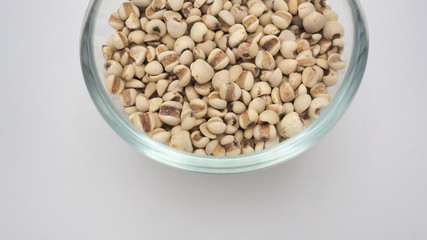 Job's Tears, also known as adlay and coix on white background. Popular in Asian cultures as a food source.