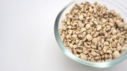 Job's Tears, also known as adlay and coix on white background. Popular in Asian cultures as a food source.