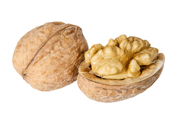 Pair of walnuts on the white background closeup.