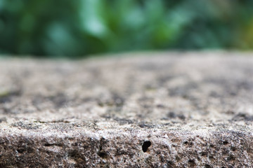 old concrete curb texture closeup and blurred green nature background