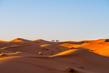 Fototapeta na wymiar Camel caravan in Sahara desert, Morocco