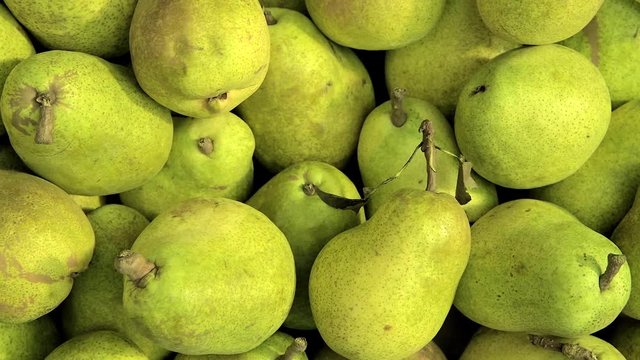  fresh pears at the market