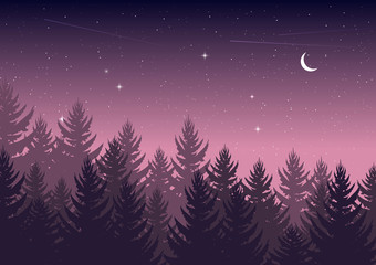 winter night pine forest with sky with stars and moon. christmas theme. new year weather. background