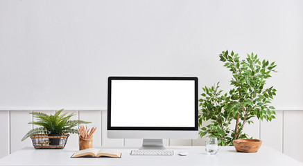 White wall desktop and computer screen white desk vase of plant and book object.