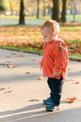 Fototapeta premium Cute little boy walking in the park