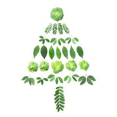 green leaves pattern as pine tree shape on white background