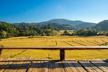 Beautiful landscape view of rice terraces and house