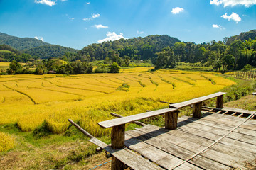 Beautiful landscape view of rice terraces and house