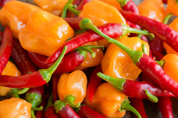 Mixed hot peppers
