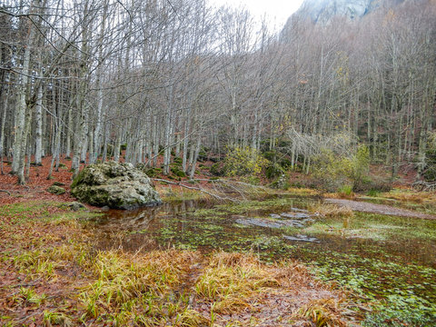 Autumnal landscape of Penna lake, a small mountain pond on Penna Mount, in the Aveto Regional Natural Park, Italy.