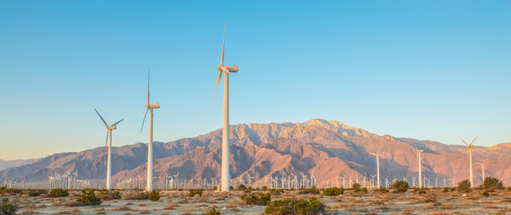 Sunrise Windmill Farm