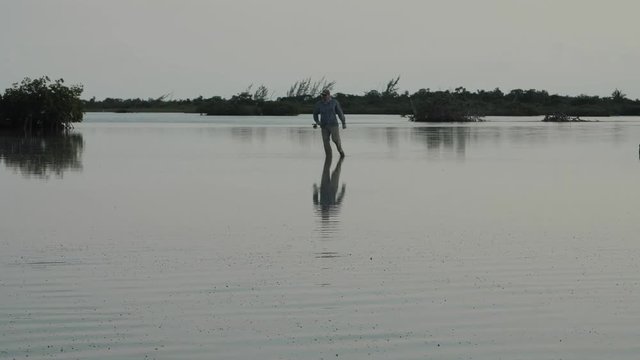 Man wade-fishing at Sunset in Flat Water with Mangroves in Mexico_LS