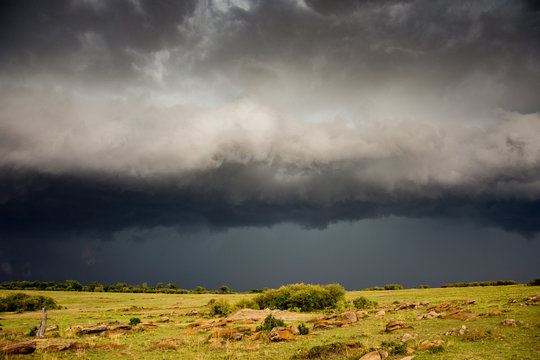 Rainstorm over maasai mara