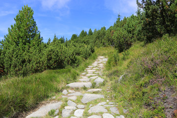 stone pathway in mountains