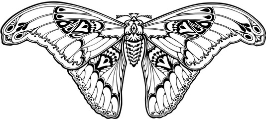 Butterfly in art nouveau style