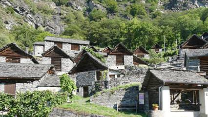 Brontallo 3