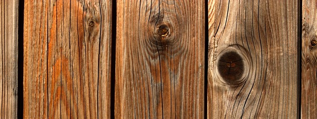 wooden texture background timber grain in detail