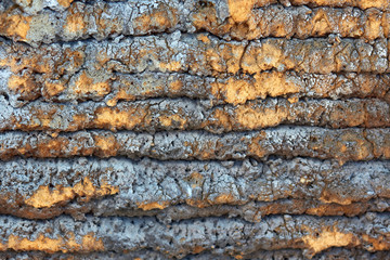 old foam on the wall, has a chaotic texture and unevenly colored with blue paint
