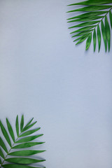 Tropical palm leaves on blue grey paper background