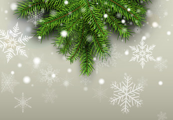 Fototapeta na wymiar Christmas background with fir branches and snowflakes