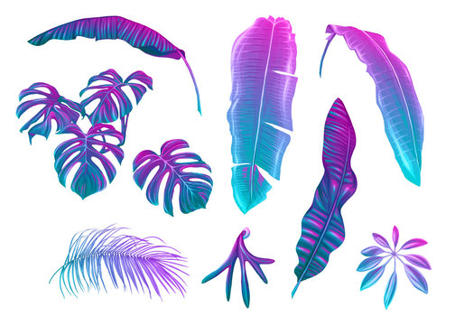 Set of tropical leaves in nein colors
