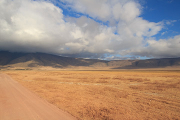Fototapeta na wymiar Ngorongoro Crater rim and vast area within