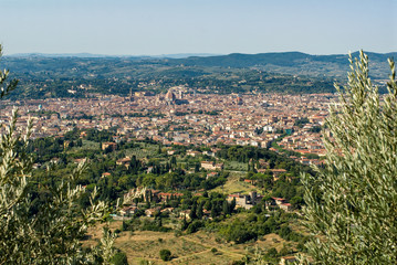 Fototapeta na wymiar city of florence seen from above