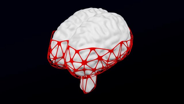 Concept: Internet addiction disorder. Human brain in the net turn around. Loopable. Luma matte. 3D rendering.
