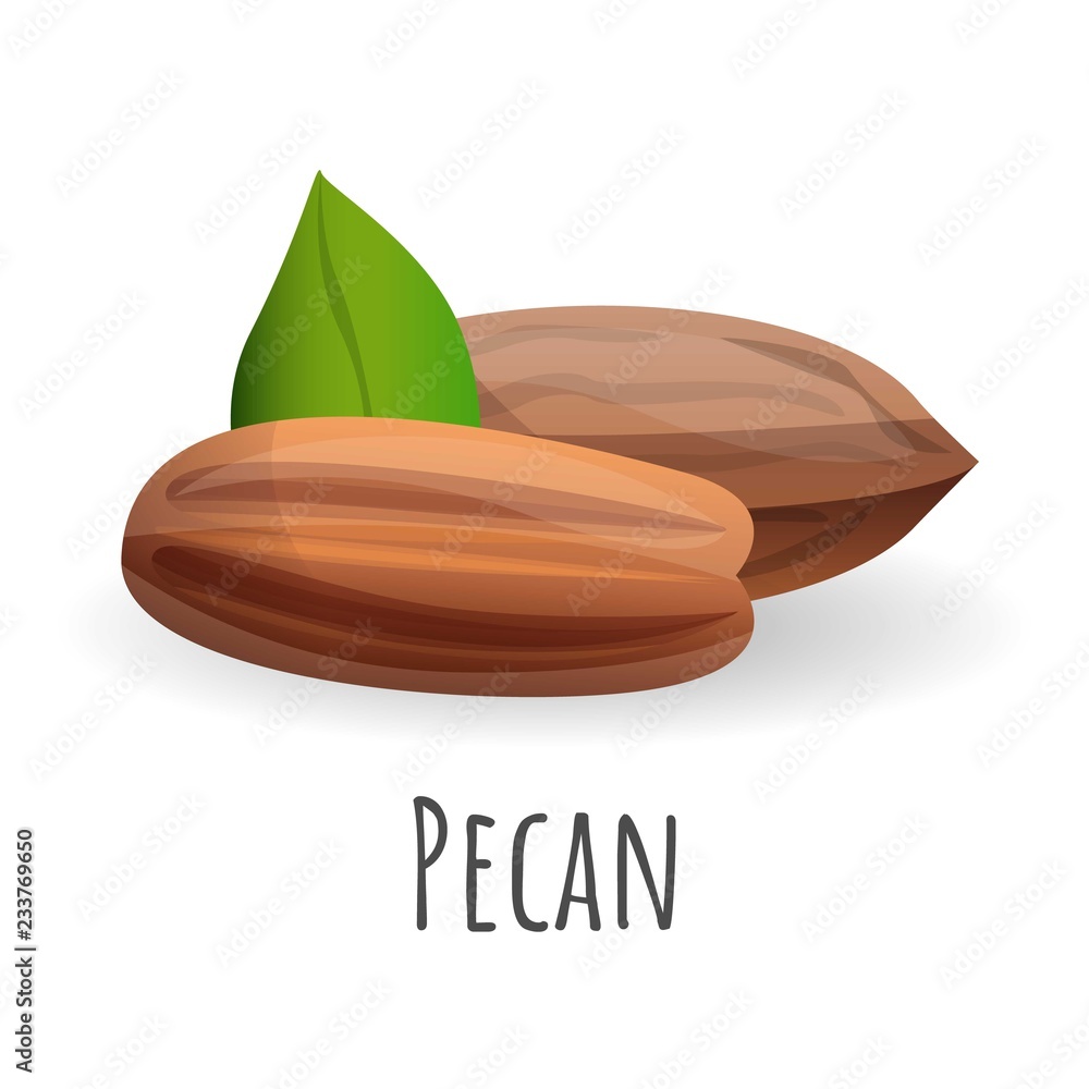 Poster pecan icon. cartoon of pecan vector icon for web design isolated on white background