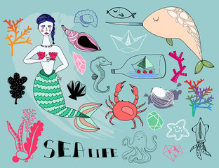 Sea creatures and plants. Graphic vector set. All elements are isolated. Blue background