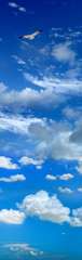 Fototapeta na wymiar Single flying seagull over sunny and cloudy sky